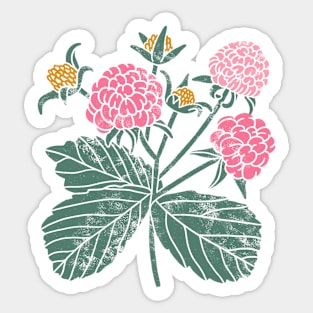 Raspberry Sticker